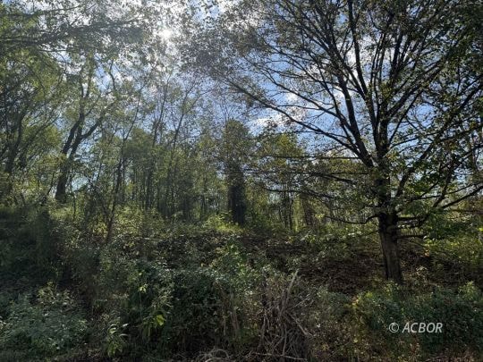 151 Shoestring Ridge Rd, Clay Township, OH 45631 - photo 1