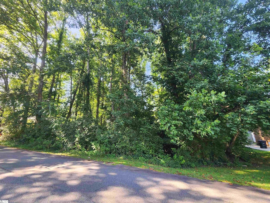 103 Quail Haven Dr unit 493 Odom Road, Easley, SC 29642 - photo 1