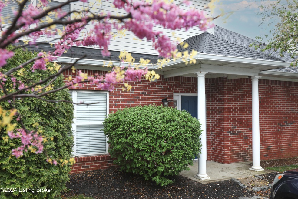 Sold $250,000 • Co-Listing Agent