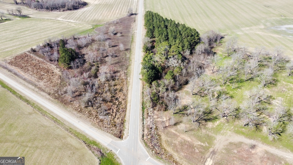 1 N County Line Rd, Elko, GA 31025 - photo 1