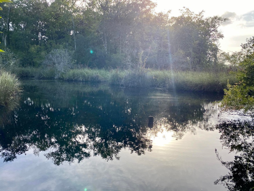 20200901_223540504_iOS