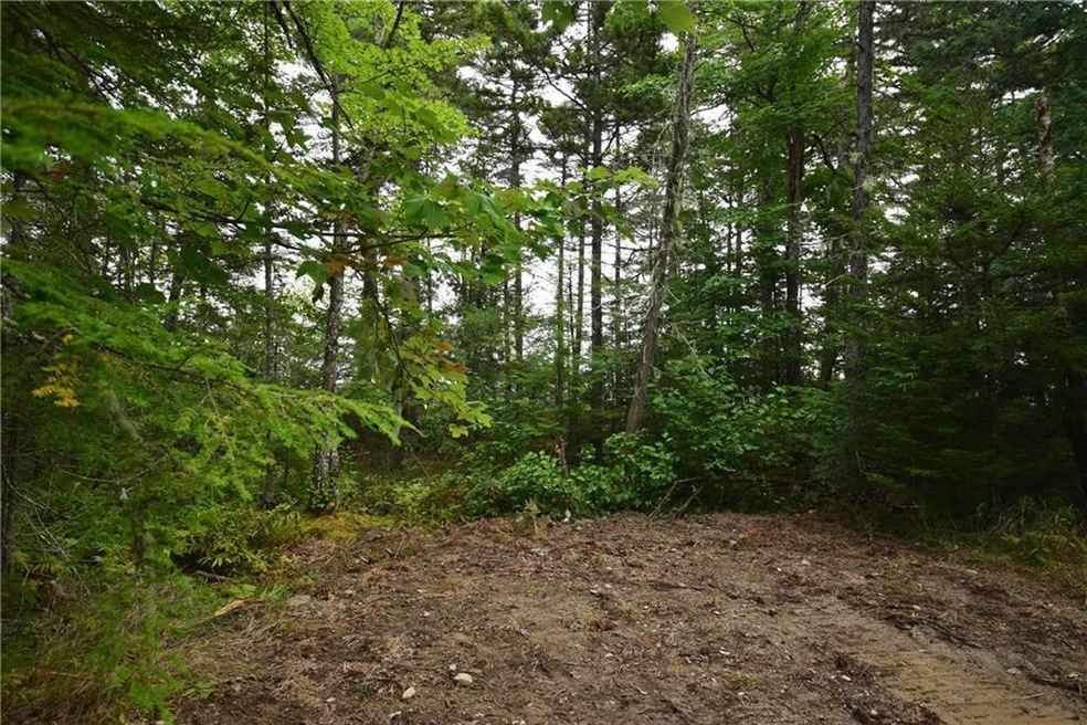 Maine Land for Sale in Burlington