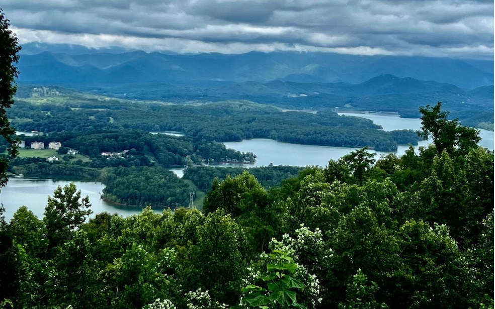 Main View