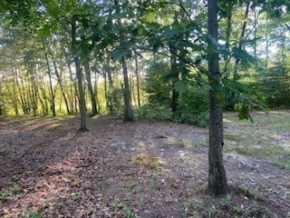 86 Union St, Easton, MA 02356 - photo 1