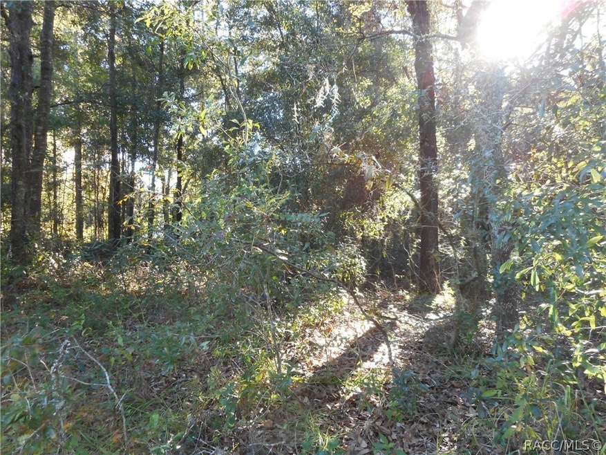 Lot 22
