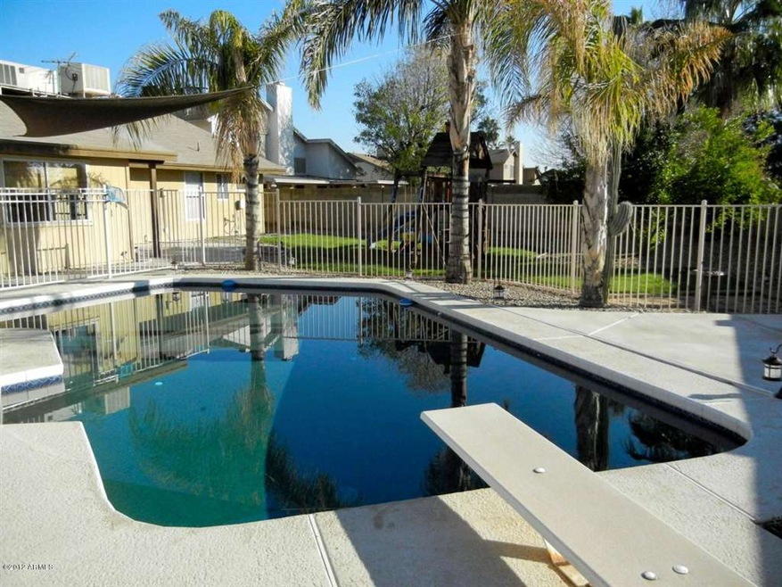 Gorgeous Yard & Diving Pool