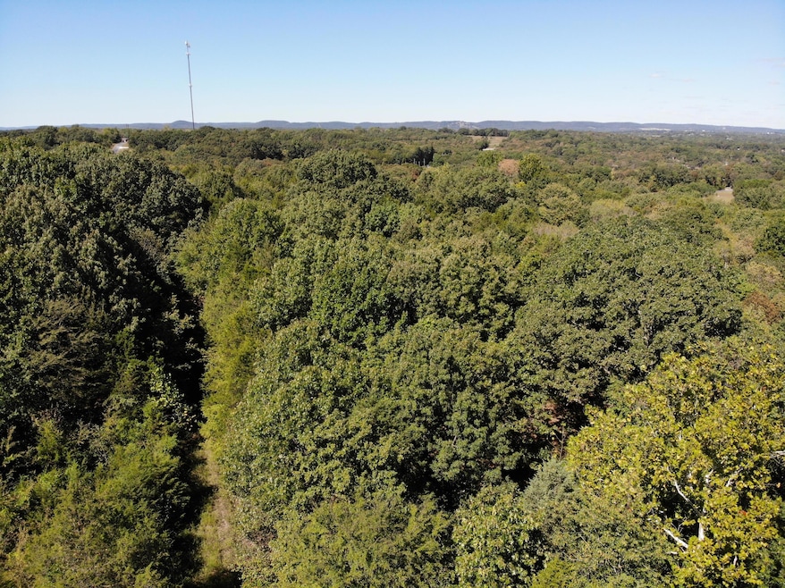 DJI_0169