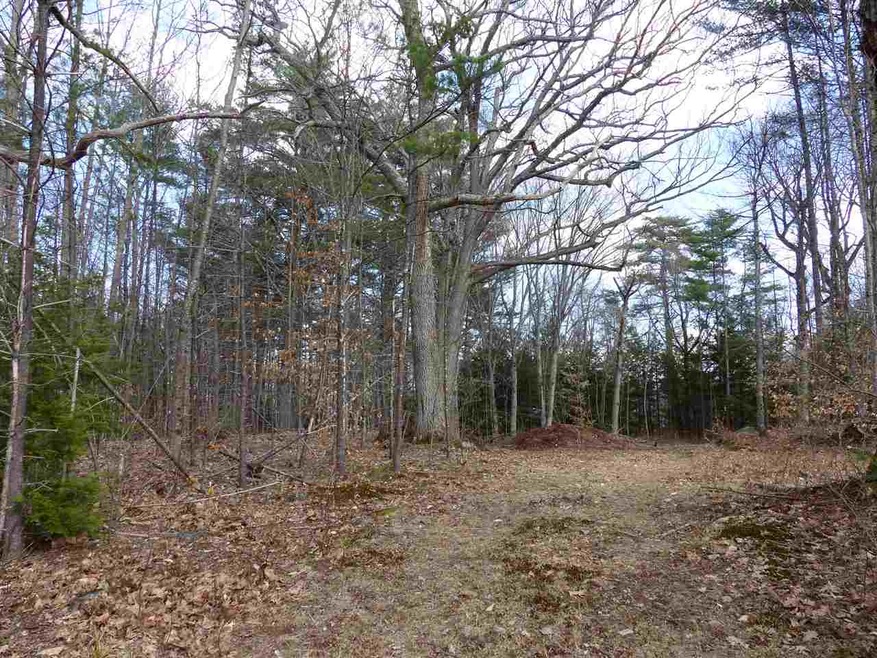 215-10.2 Red Hill Farm, Center Harbor, NH 03226 - photo 1