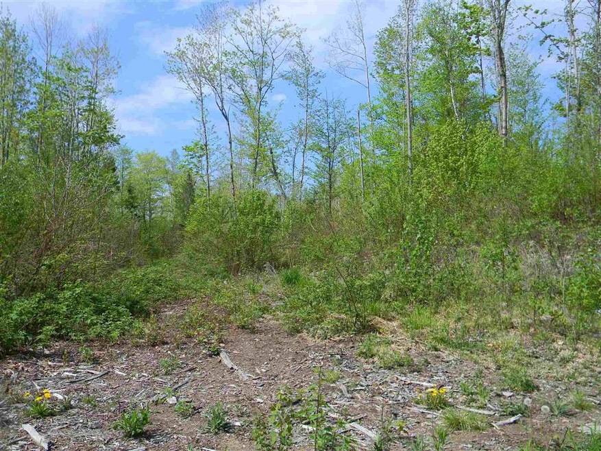 65 Graham St unit M101 L022, Groveton, NH 03582 - photo 1