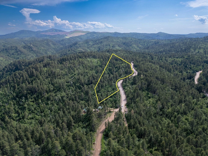 TBD Rocky Point Rd unit TBD Rocky Point Road, Lead, SD 57754 - photo 1