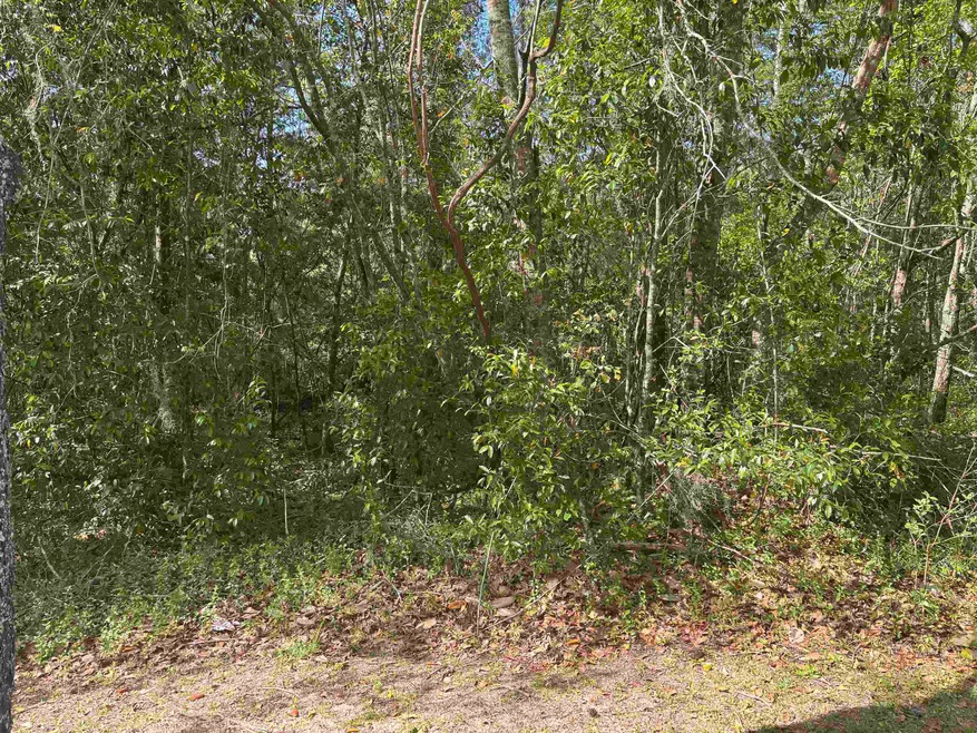 0 Lester Hackley unit 391432, Tallahassee, FL 32308 - photo 1