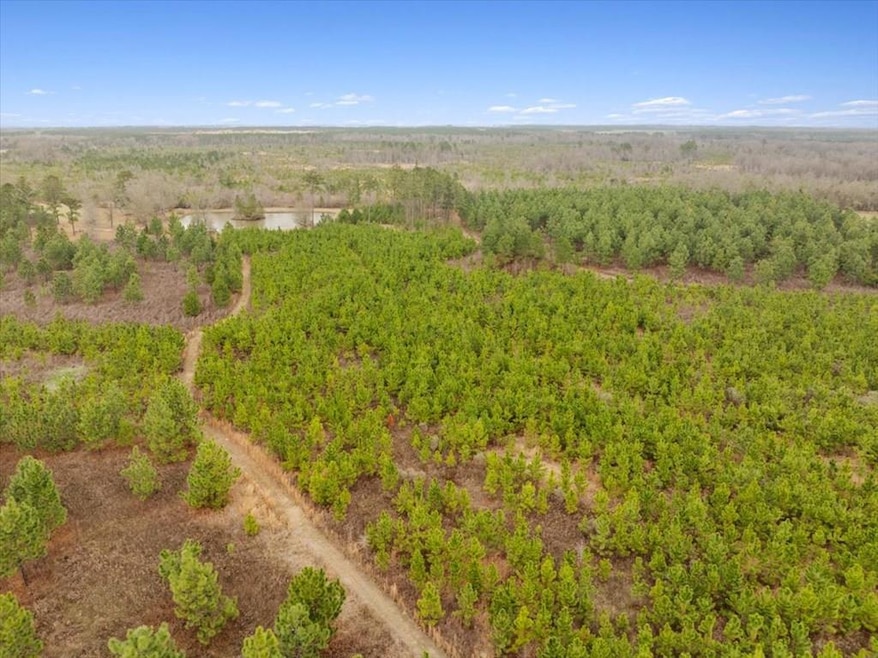 0 Blue Springs Rd unit 138600, Sylvester, GA 31791 - photo 1