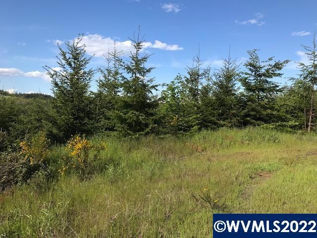 0 Old Military (Frontage) Rd unit 792803, Dallas, OR 97338 - photo 1