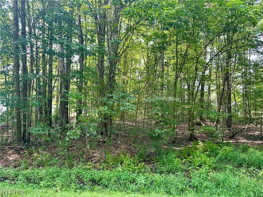 2047 N Park Ln, Roaming Shores, OH 44084 - photo 1