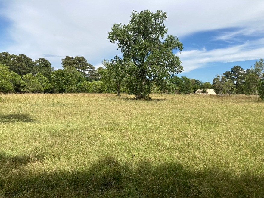 1442 Rudolph Rd, Tomball, TX 77375 - photo 1