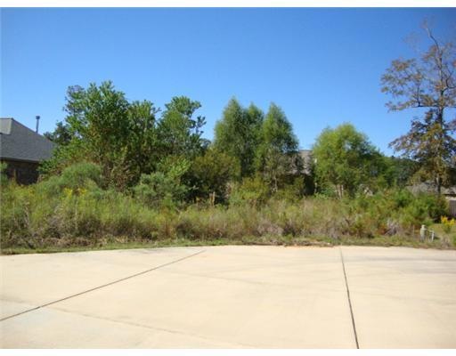 Land/Lot.