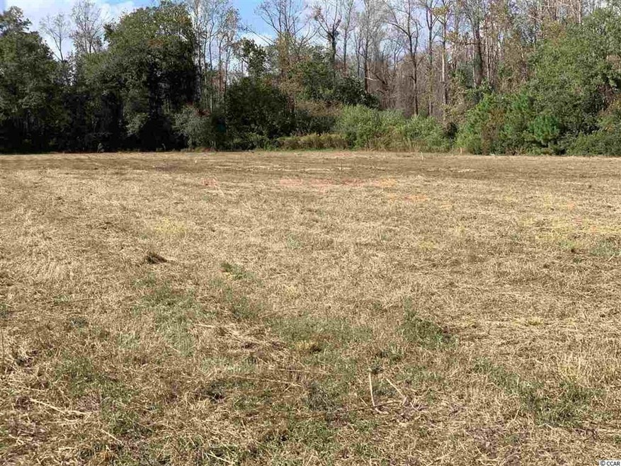 B tract State Highway 65 unit Lot 2, Conway, SC 29526 - photo 1