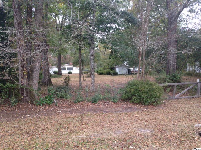 Lot 5 Busbee St, Conway, SC 29526 - photo 1