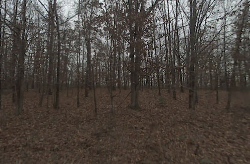 0 Linfield Ln unit 1246739, Bella Vista, AR 72715 - photo 1