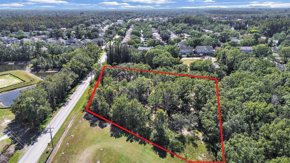 16906 Lakeshore Rd, Lutz, FL 33558 - photo 1