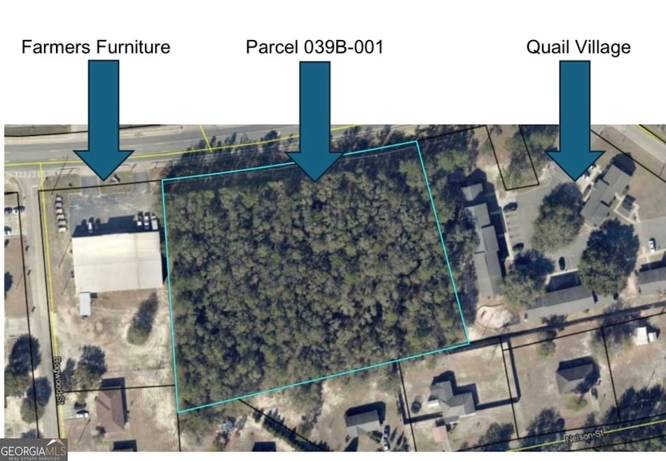 0 U S Highway 280, Reidsville, GA 30453 - photo 1