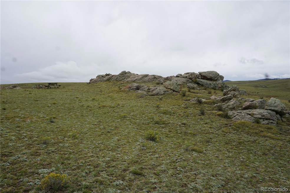 0 High Dr unit REC5498125, Hartsel, CO 80449 - photo 1
