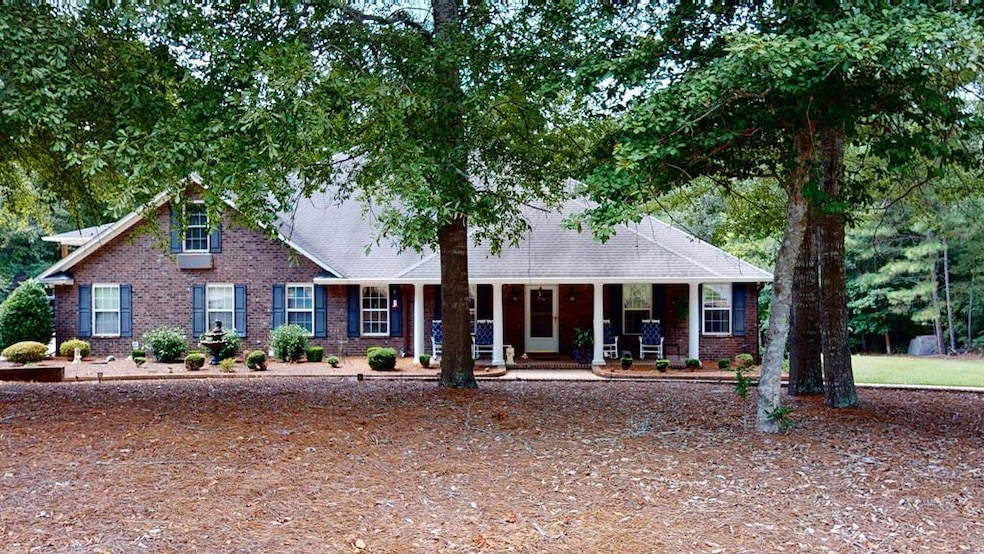 Main View