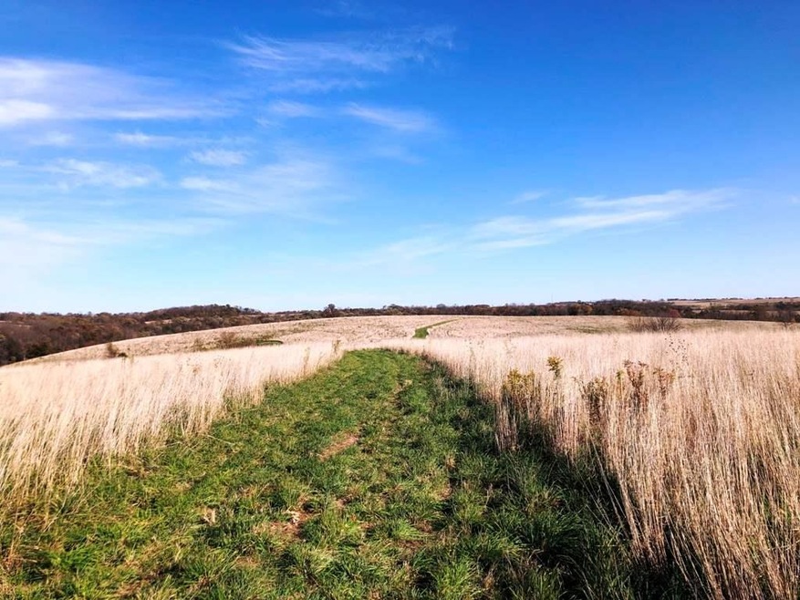 98.33 +/- acres Pikes Peak Rd, Potosi, WI 53820 - photo 1