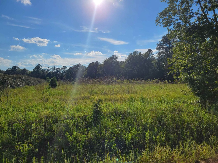 0 Ben Grady Collins Rd unit 20141389, Statesboro, GA 30458 - photo 1