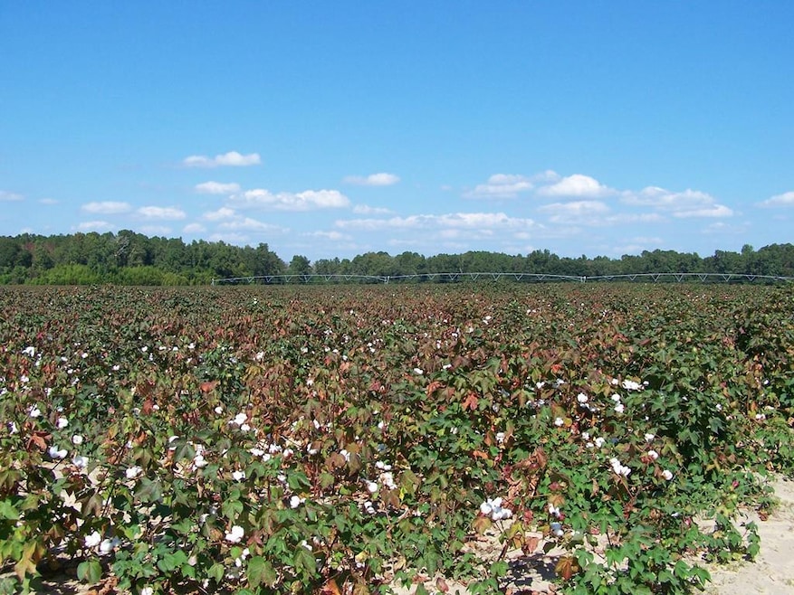 00 Tee Vee Road Hwy 267, Santee, SC 29142 - photo 1