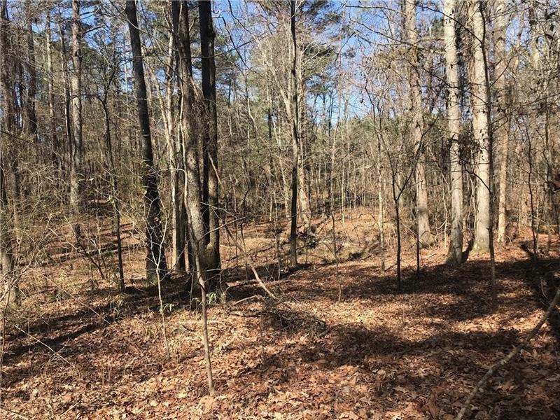 0 Emory Phillips Rd unit 7011287, Sharpsburg, GA 30277 - photo 1