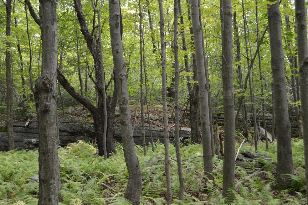 Lot 85 Fawn Lake Dr, Lackawaxen Township, PA 18428 - photo 1