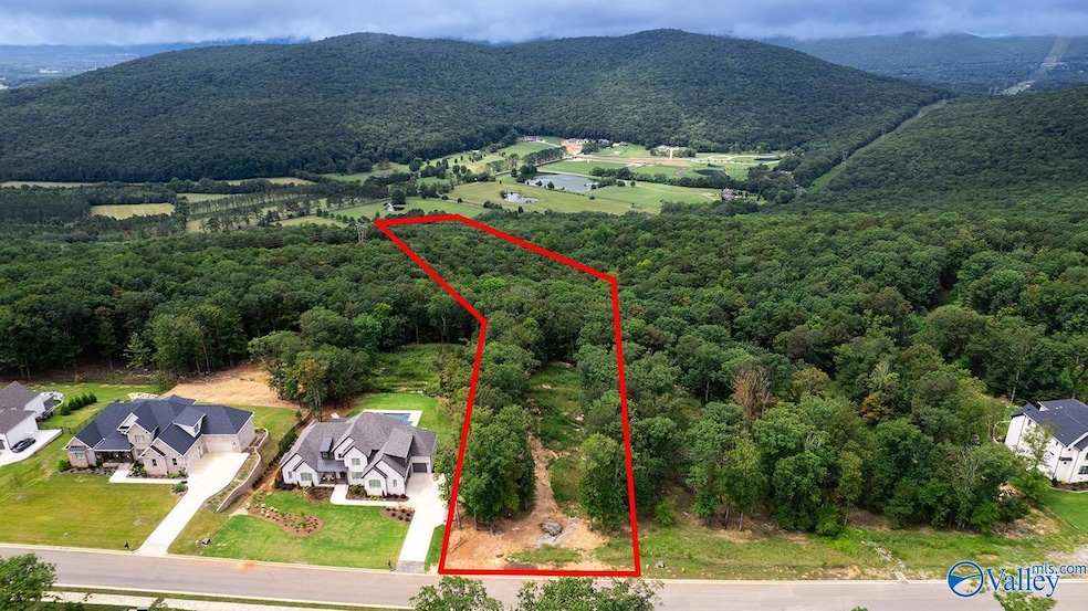 49 Watson Grande Way SE, Owens Cross Roads, AL 35763 - photo 1