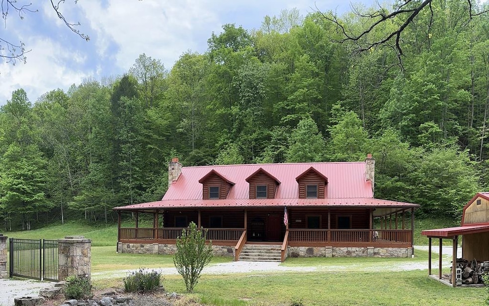 Main View