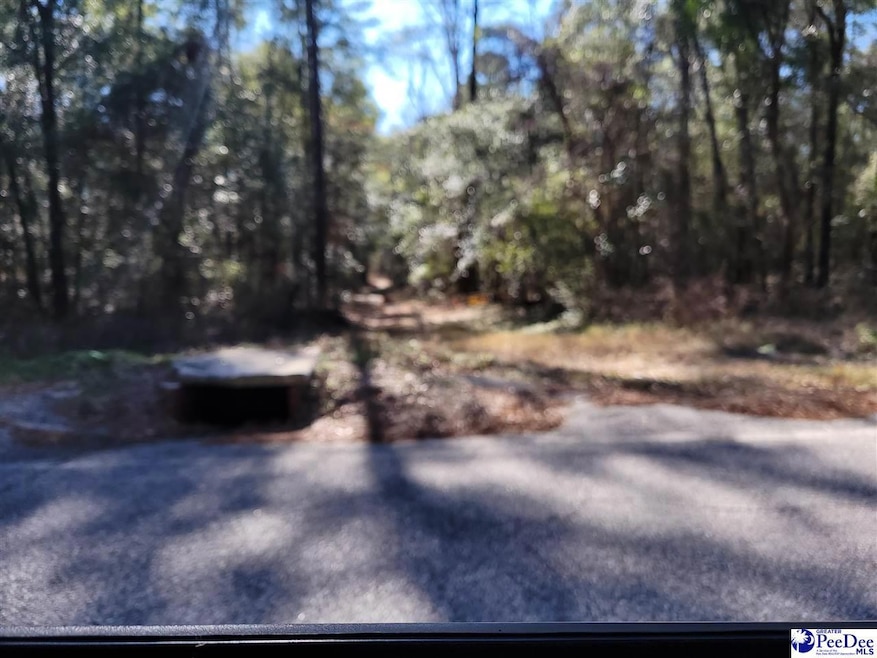 TBD E Black Creek Rd, Florence, SC 29506 MLS 20220213