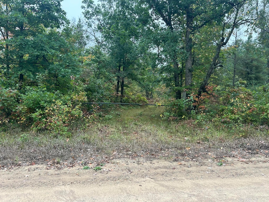 v/l S Broadway St, Baldwin, MI 49304 - photo 1