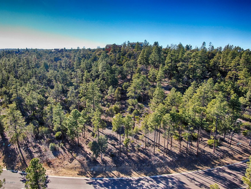 1870 S Pleasant View Dr unit 429, Show Low, AZ 85901 - photo 1