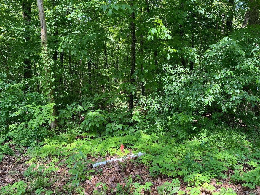 0 Pinnacle Rd unit 24020965, Ellington, CT 06029 - photo 1