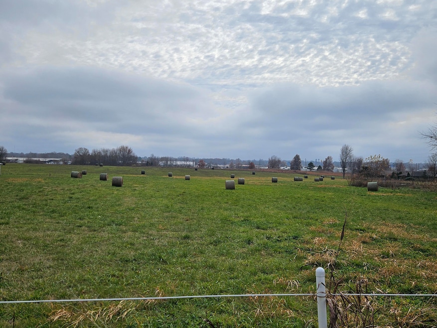 000 Red Springs Rd, Mountain Grove, MO 65711 - photo 1