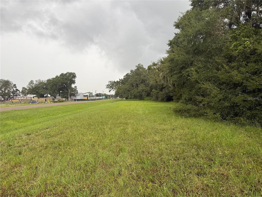 0 State Route 471, Sumterville, FL 33585 - photo 1