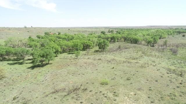 image10