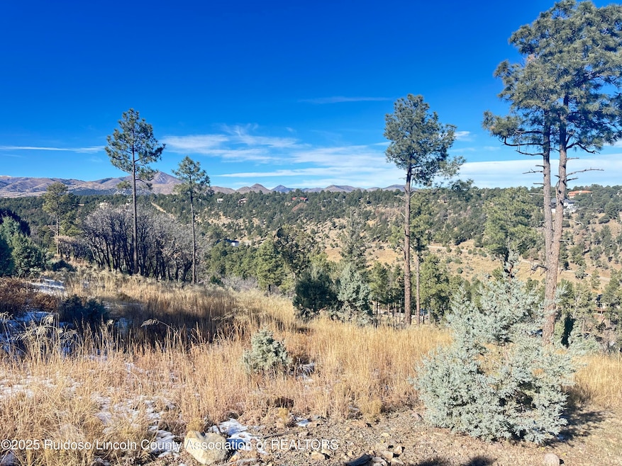 000 El Camino Dr, Alto, NM 88312 - photo 1