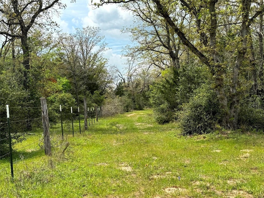 unlisted-address, Harwood, TX 78632 - photo 1