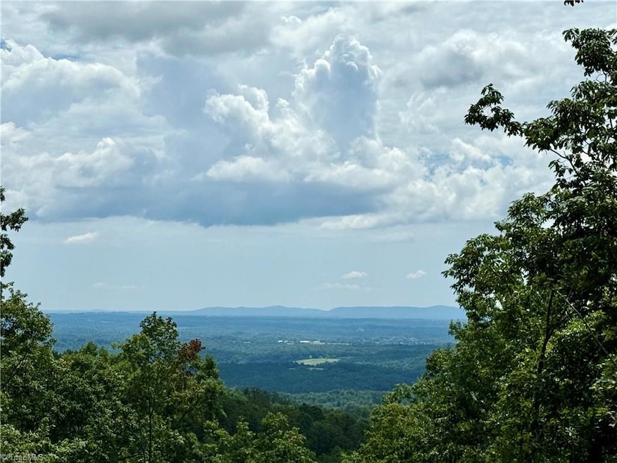 TBD Widow Mountain Dr, McGrady, NC 28635 - photo 1