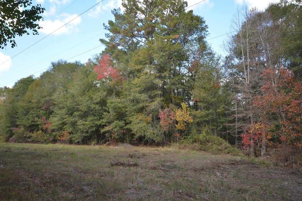 1685 N Margaret, Kirbyville, TX 75956 - photo 1