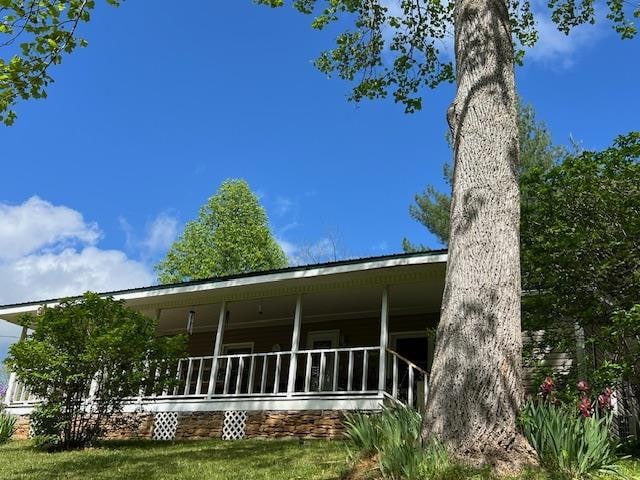 Main View