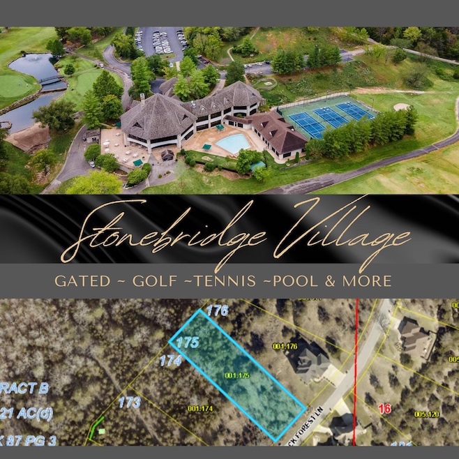 Lot 175 Black Forest Ln, Branson West, MO 65737 - photo 1