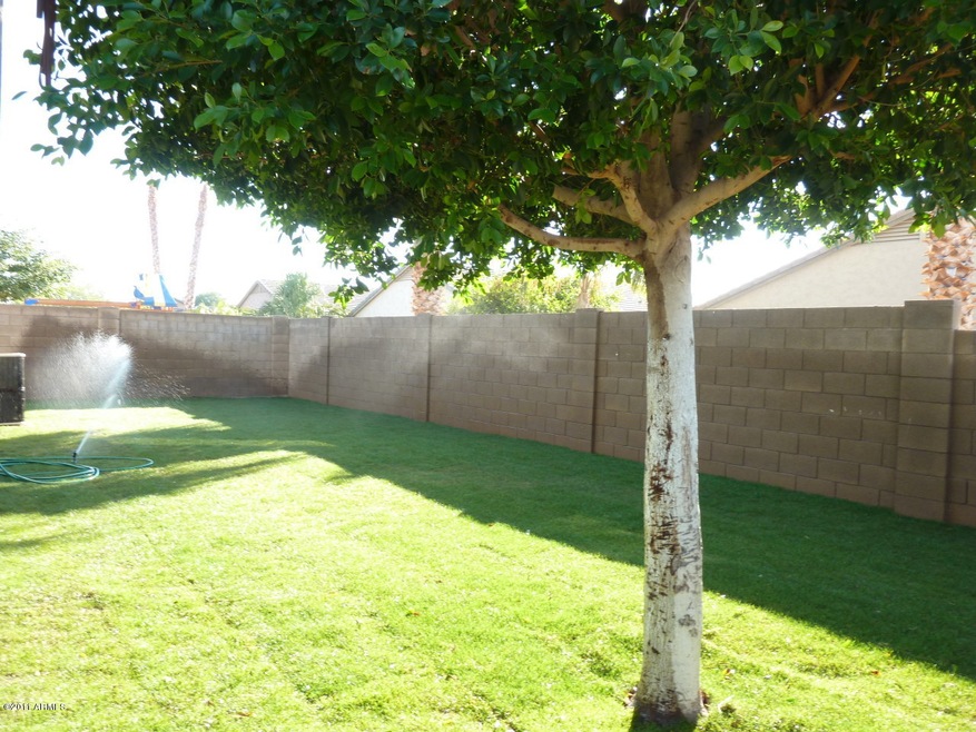 BEAUTIFUL BACKYARD