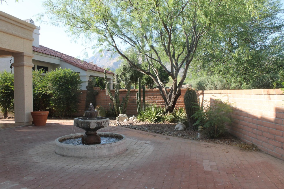 back yard (2)