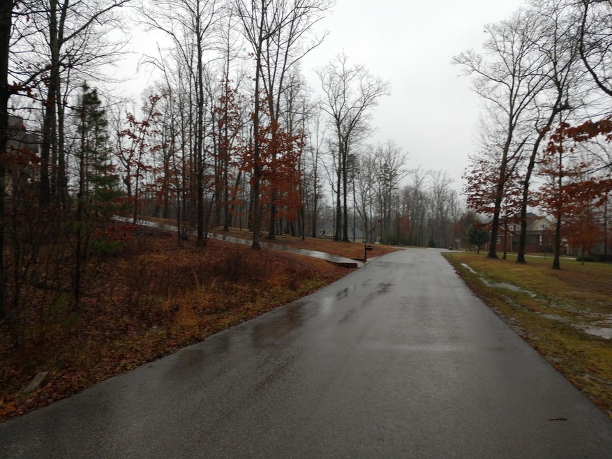 Mountain Laurel Ln 2 .png